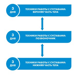 Мануальный Суставной Подход Мануальный Суставной Подход - Позвоночник и Таз (MASP) Жан Пьер Барраль