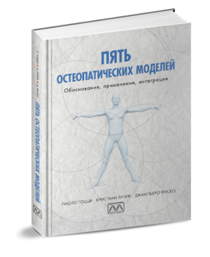 5 остеопатичних моделей Школа «Реабілітолог» 1022