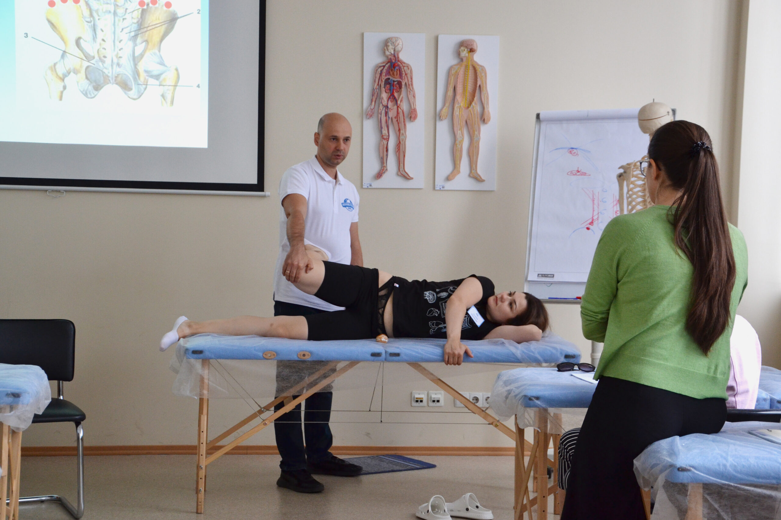 Пальпація та тестування тканин тіла Школа «Реабілітолог» 7064