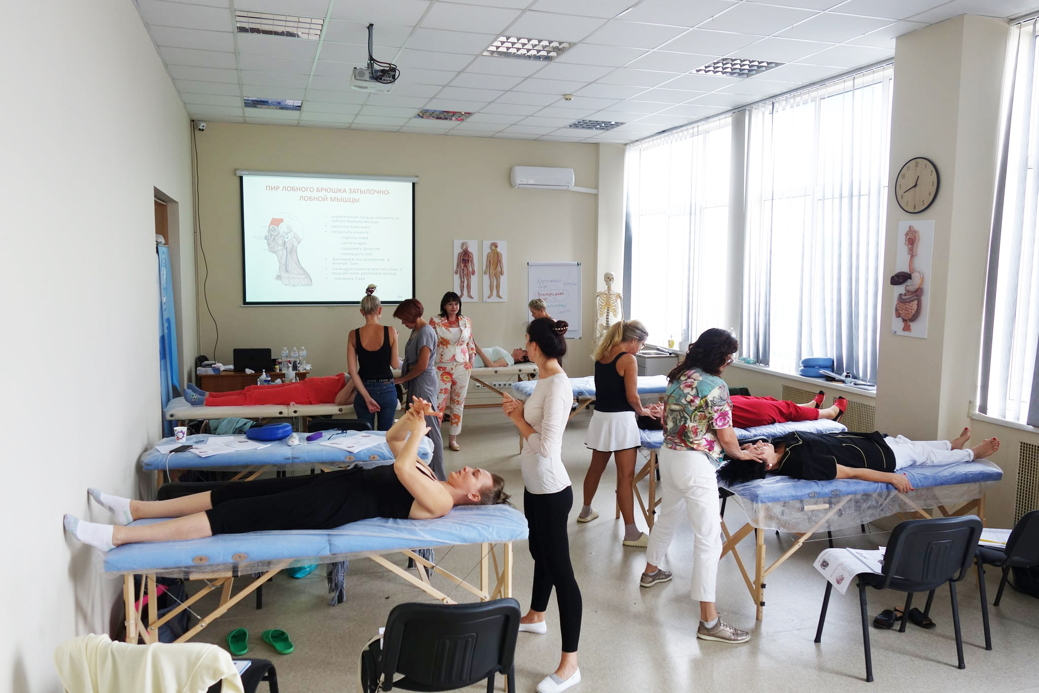 Остеопатичне моделювання обличчя, зони шиї та декольте у косметології. Модуль 2 Школа «Реабілітолог» 11286