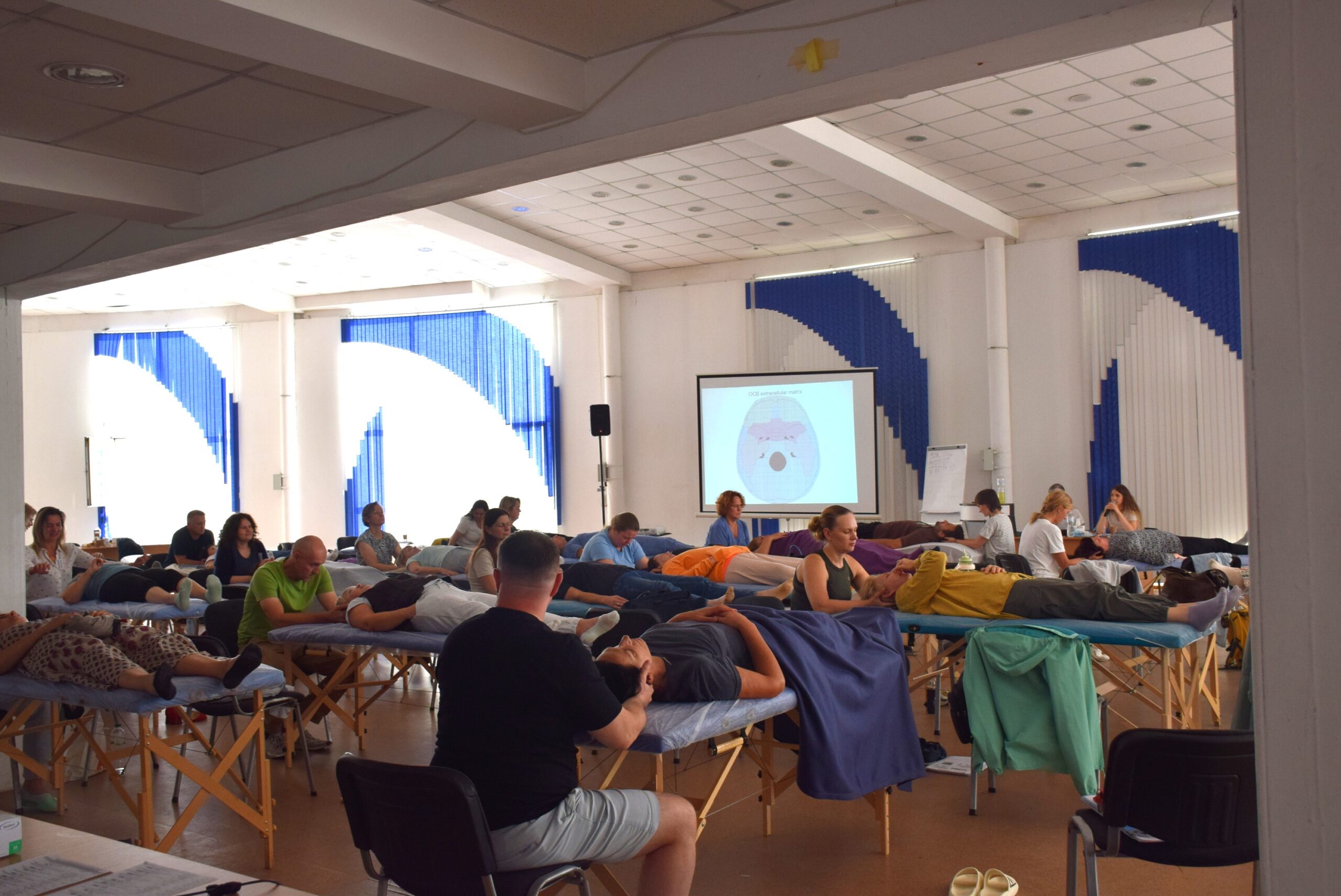 Краніосакральна терапія: Торкаючись мозку 2. Стимуляція самокорекції через клітини глії, Інститут Апледжера Школа &laquo;Реабілітолог&raquo; 36788