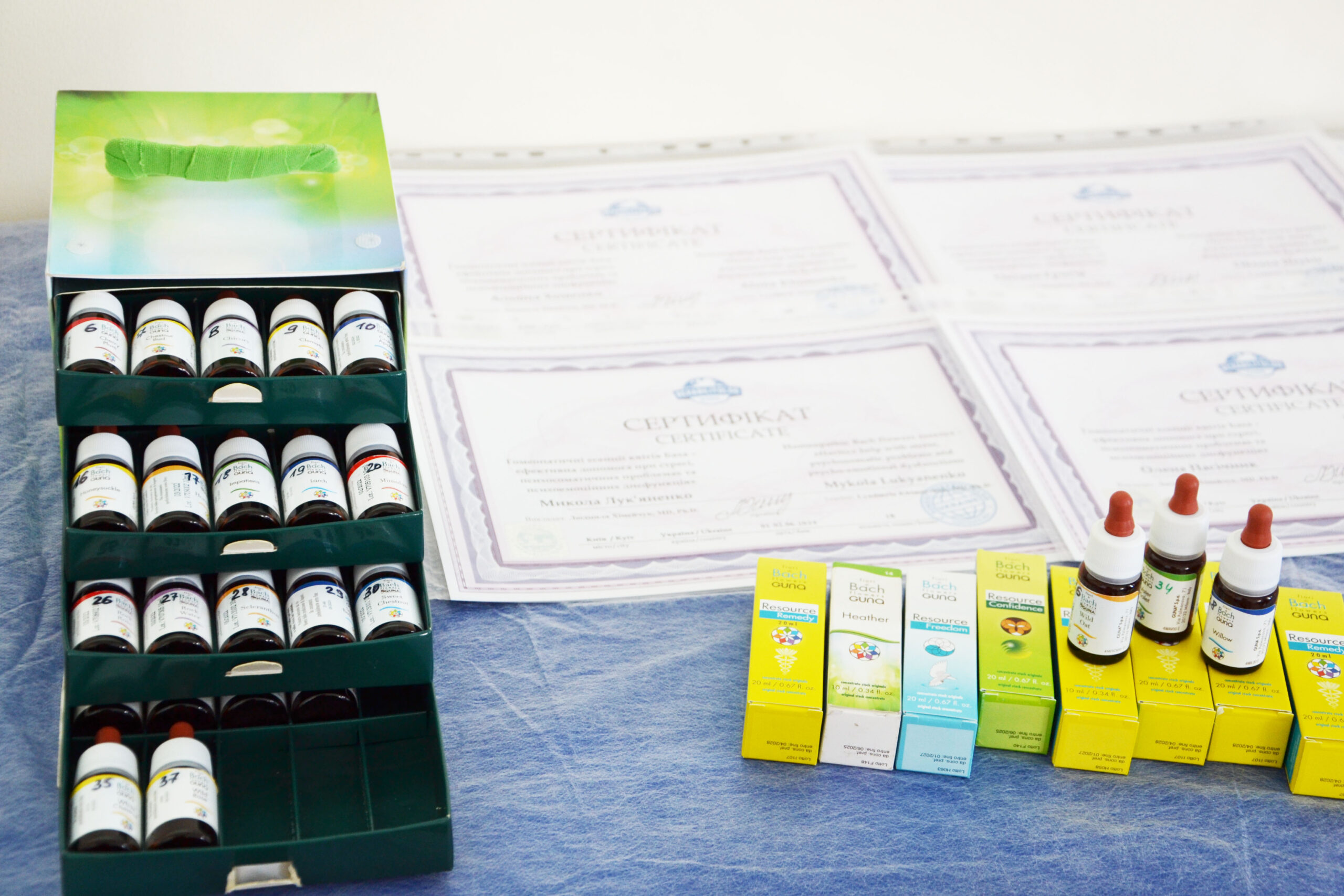 Психосоматичне відновлення за допомогою Флоротерапії. Практичний курс з есенцій Баха Школа &laquo;Реабілітолог&raquo; 24014