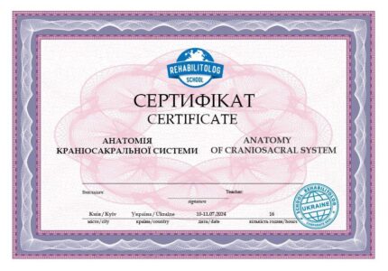 Главная Школа «Реабилитолог» 25809