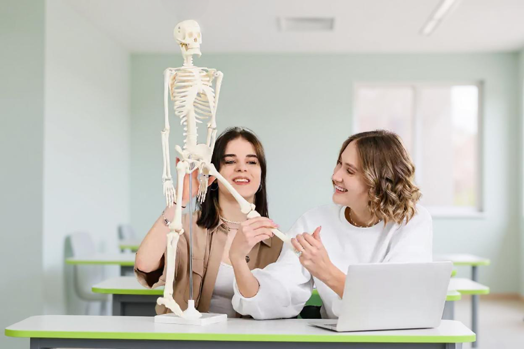 Главная Школа «Реабилитолог» 34129